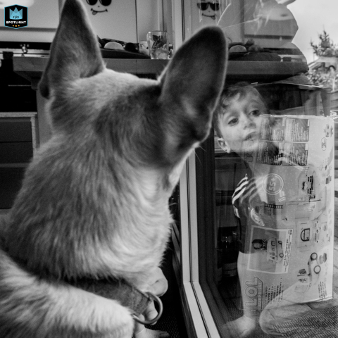 This documentary family photo captures a black and white shot of a dog in Dusseldorf, North Rhine-Westphalia, with the reflection of a boy visible in the frame.